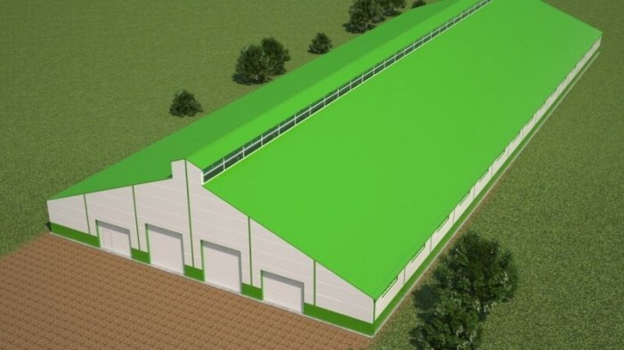 Строительство свинокомплексов